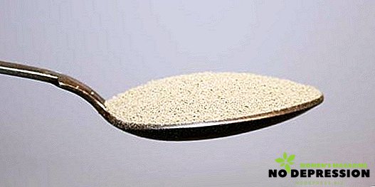 Koliko grama suhog kvasca u žličici i žlici