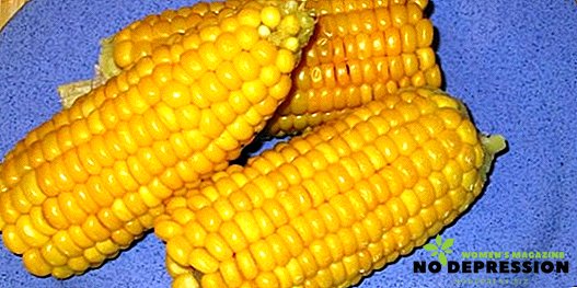How many minutes to cook the corn so that it becomes soft and tasty