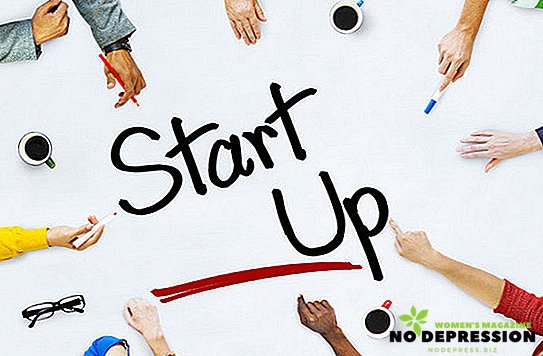 Startupi z minimalnimi naložbami v Rusiji: ideje in primeri