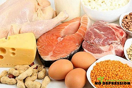 Τι τρόφιμα περιέχουν πρωτεΐνες