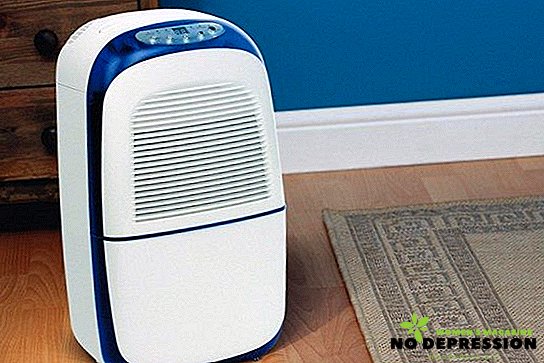 Choosing a dehumidifier for an apartment: reviews, ratings, prices