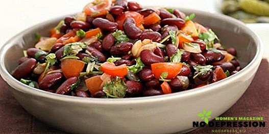 Lahodné, výdatné a výživné jedlá červenej fazule