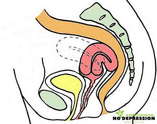 Vrat maternice: simptomi, vzroki in učinki